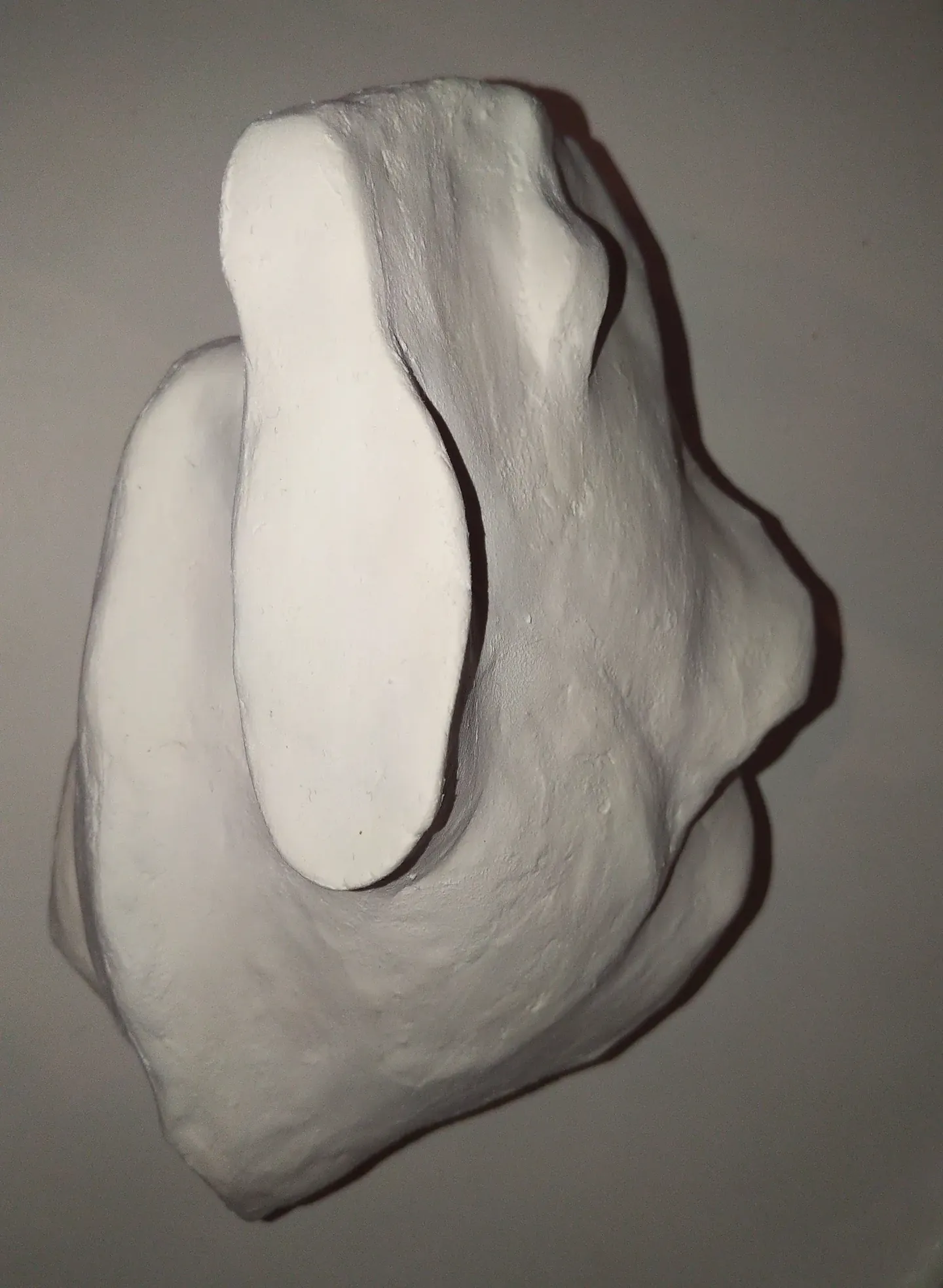 The clay model seen from above, showing the thumb rest and the scoop for the palm