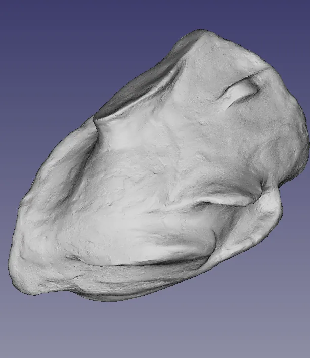 The 3D scan after digital smoothing in Blender